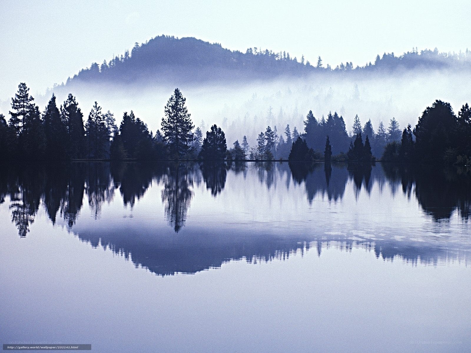 Misty lake with forest reflection