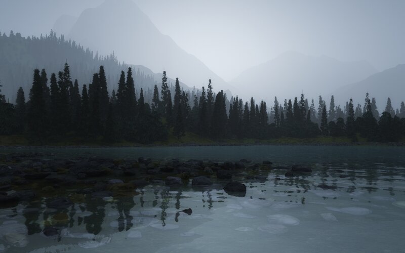 misty lake with forest