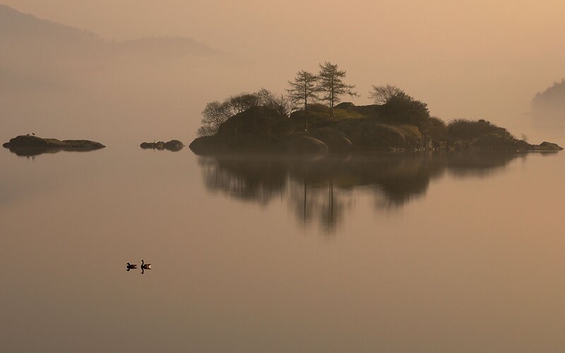 Misty lake with island and ducks