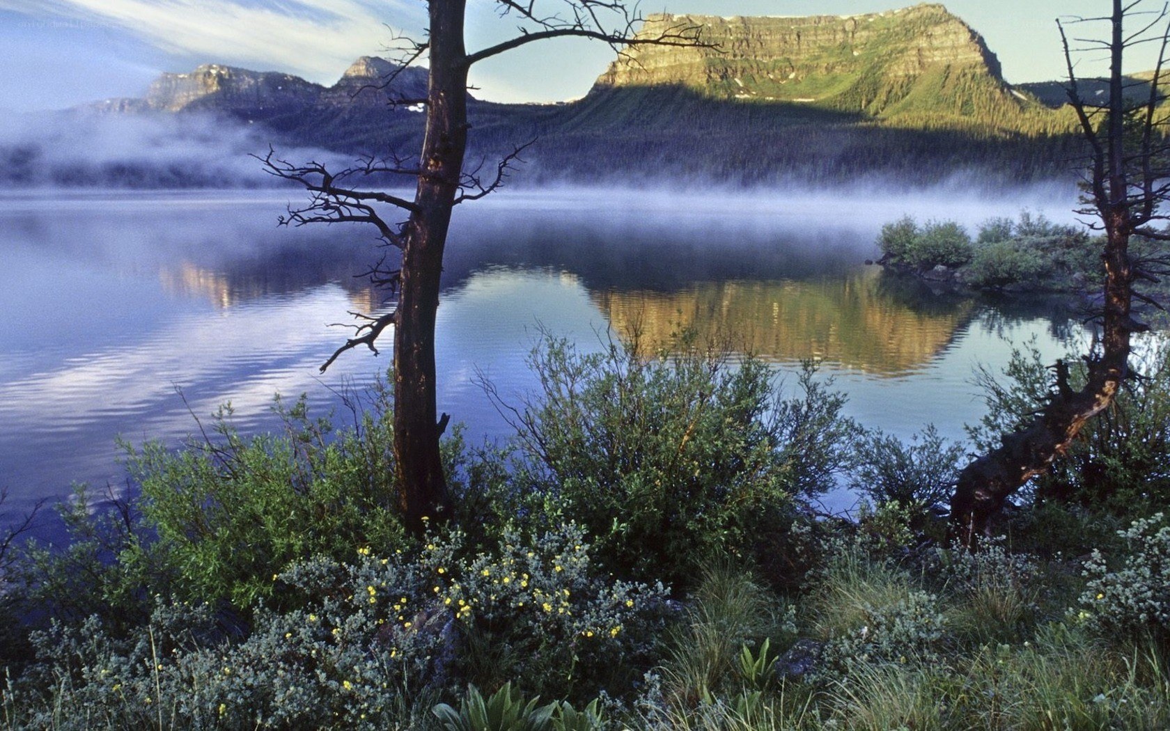 Misty lake with mountains