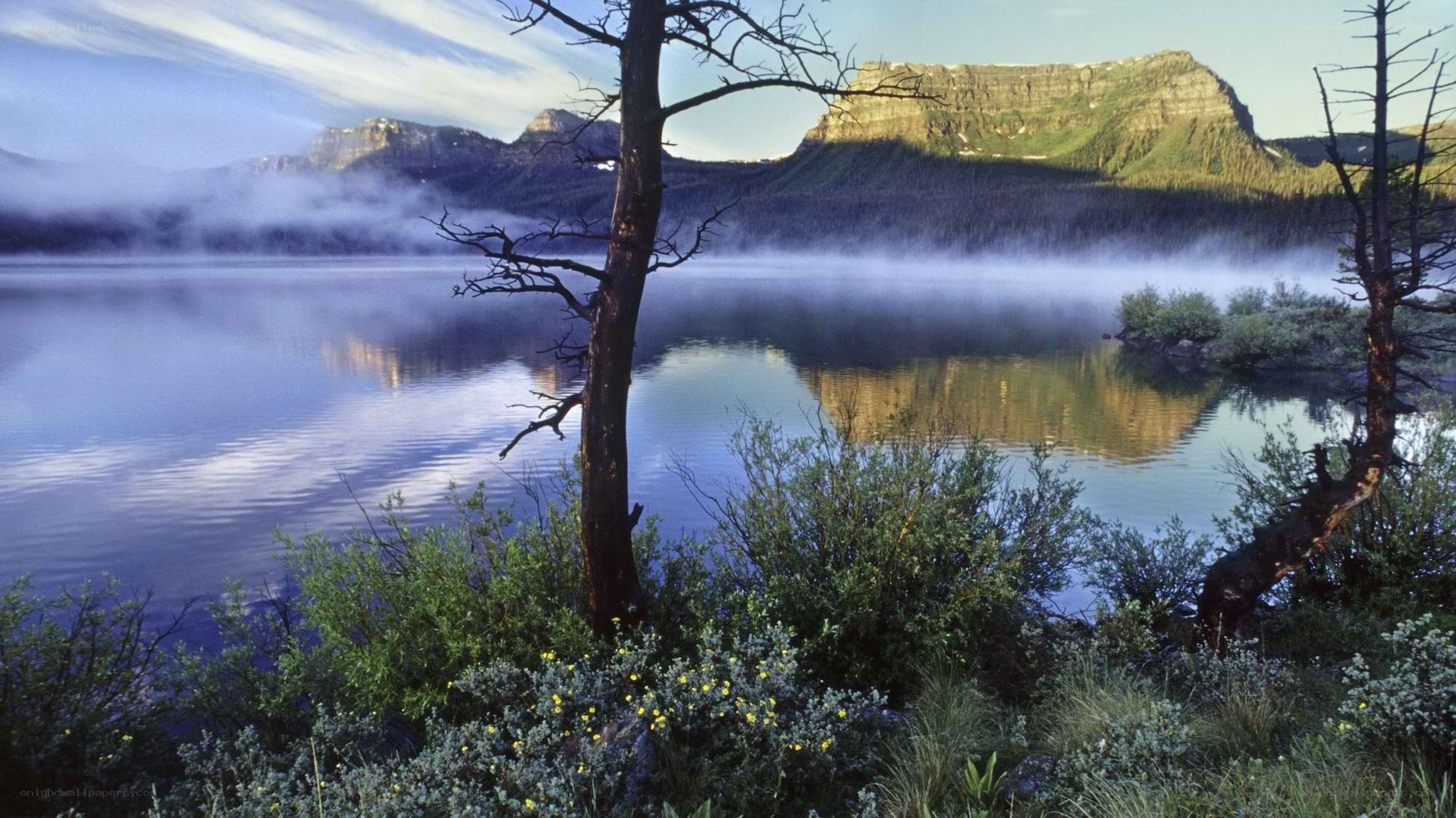 Misty lake with mountains