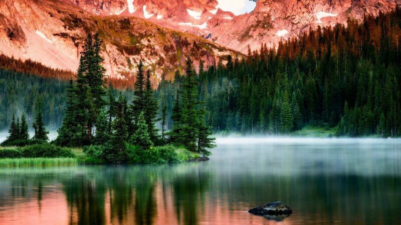 Misty Lake with Pine Trees — Green