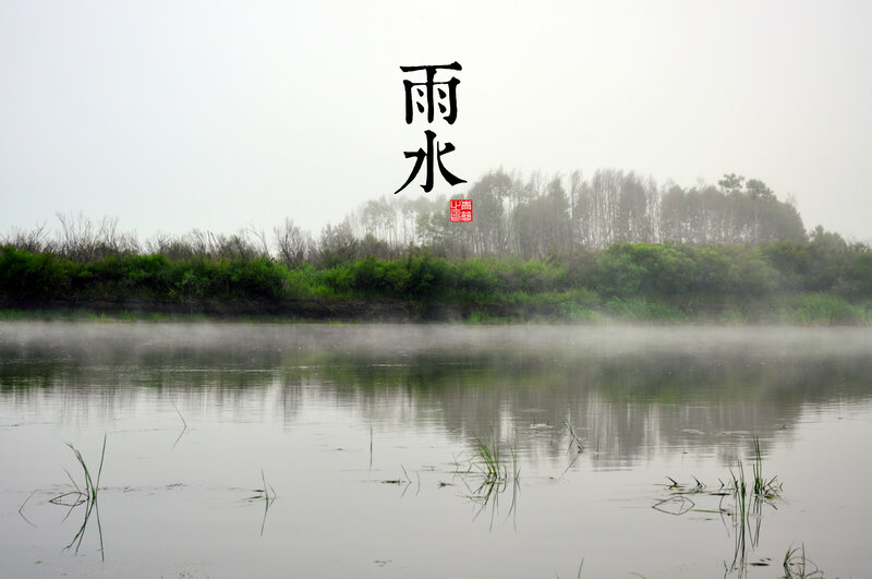 Misty Lake with Reeds