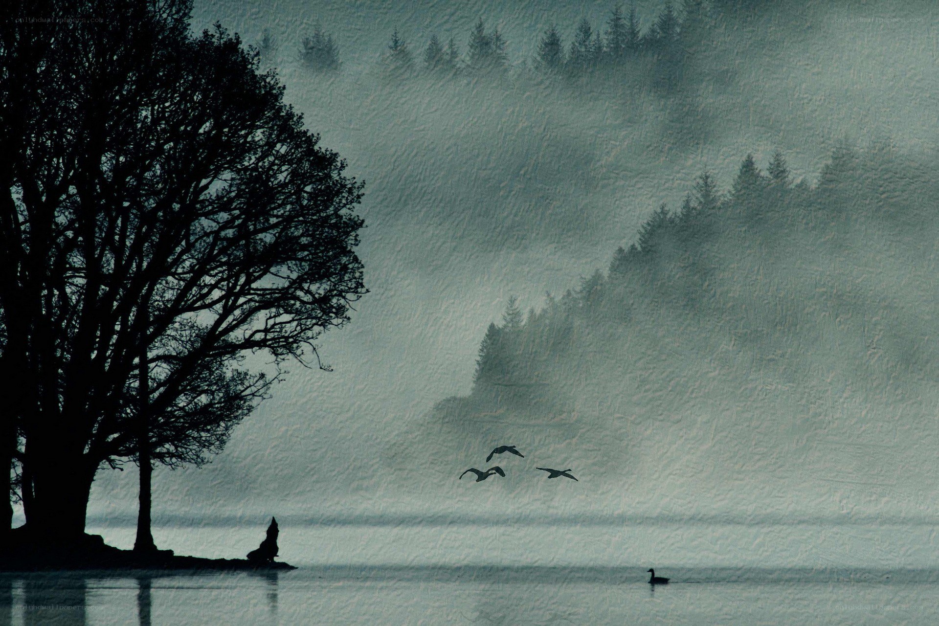 Misty lake with silhouettes