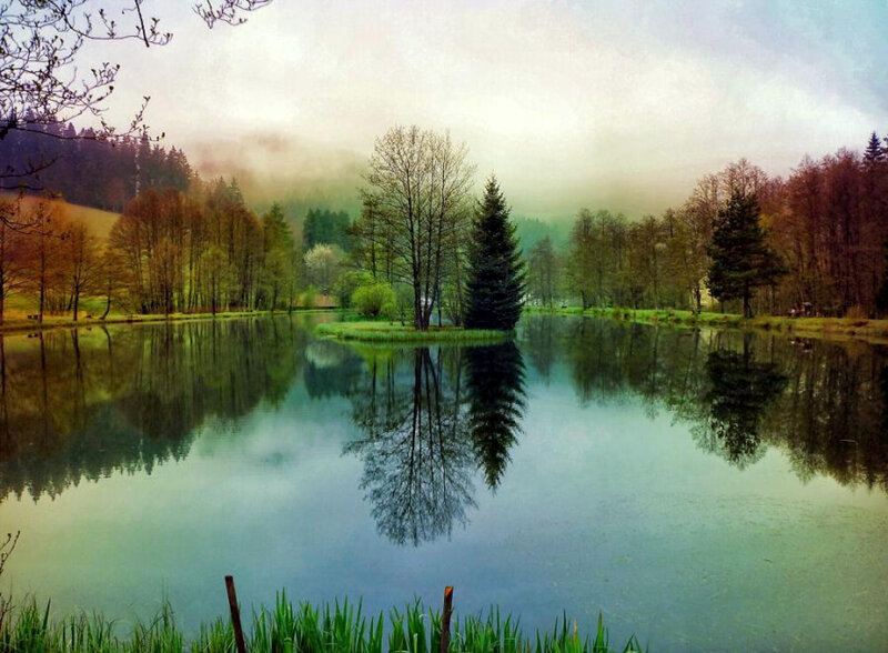 Misty lake with tree reflections
