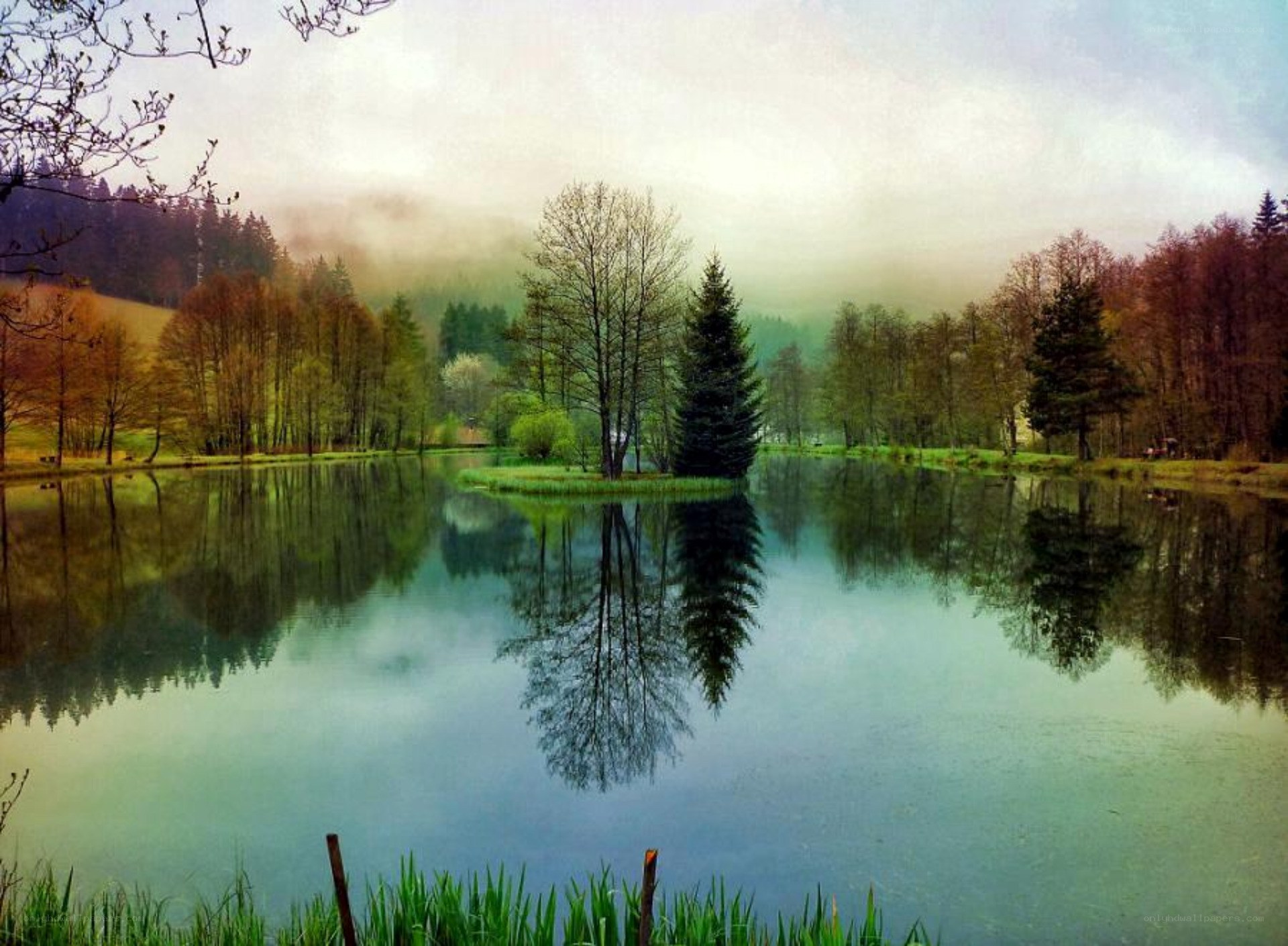 Misty lake with tree reflections