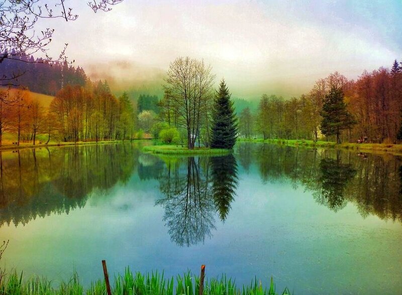 Misty lake with tree reflections