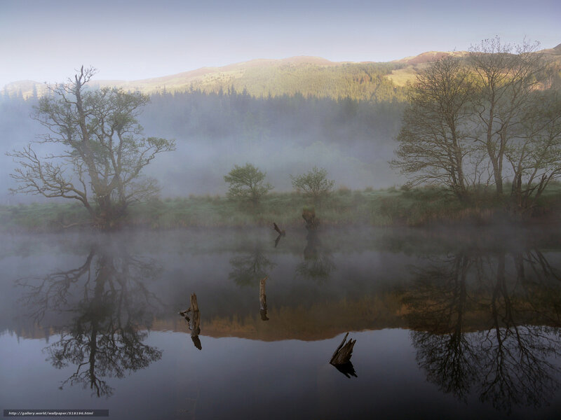 Misty lake with tree reflections