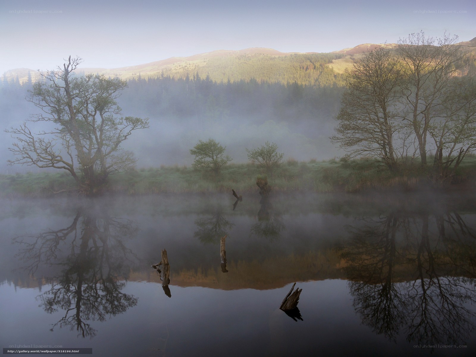 Misty lake with tree reflections
