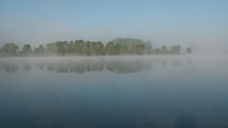 Misty Lake with Trees — Blue, Serene