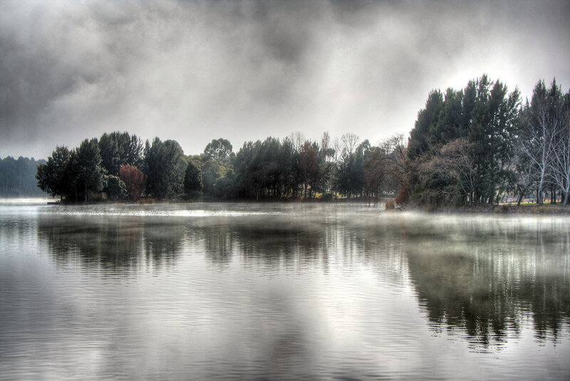 Misty Lake with Trees — Gray, Dramatic