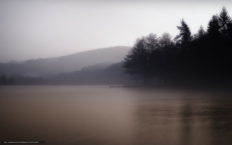 Misty Lake with Trees — Gray, Serene