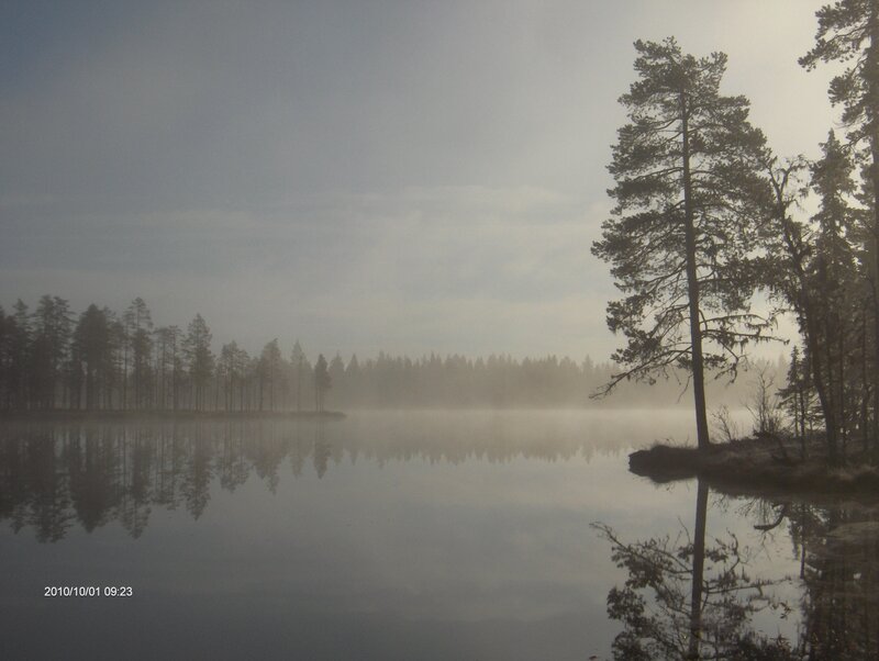 Misty Lake with Trees — Gray