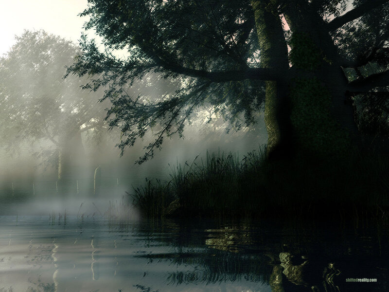 Misty Lake with Trees — Green