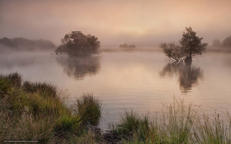 Misty Lake with Trees — Pink, Serene, Morning