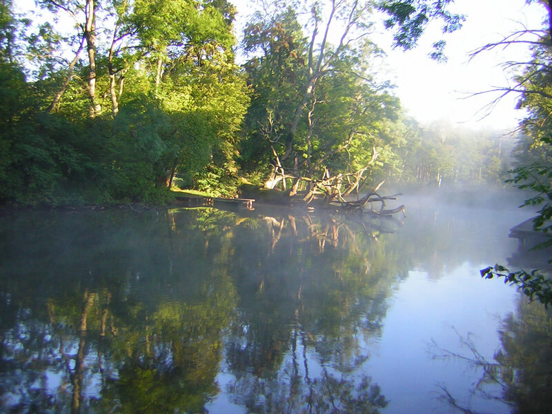 Misty Lake with Trees