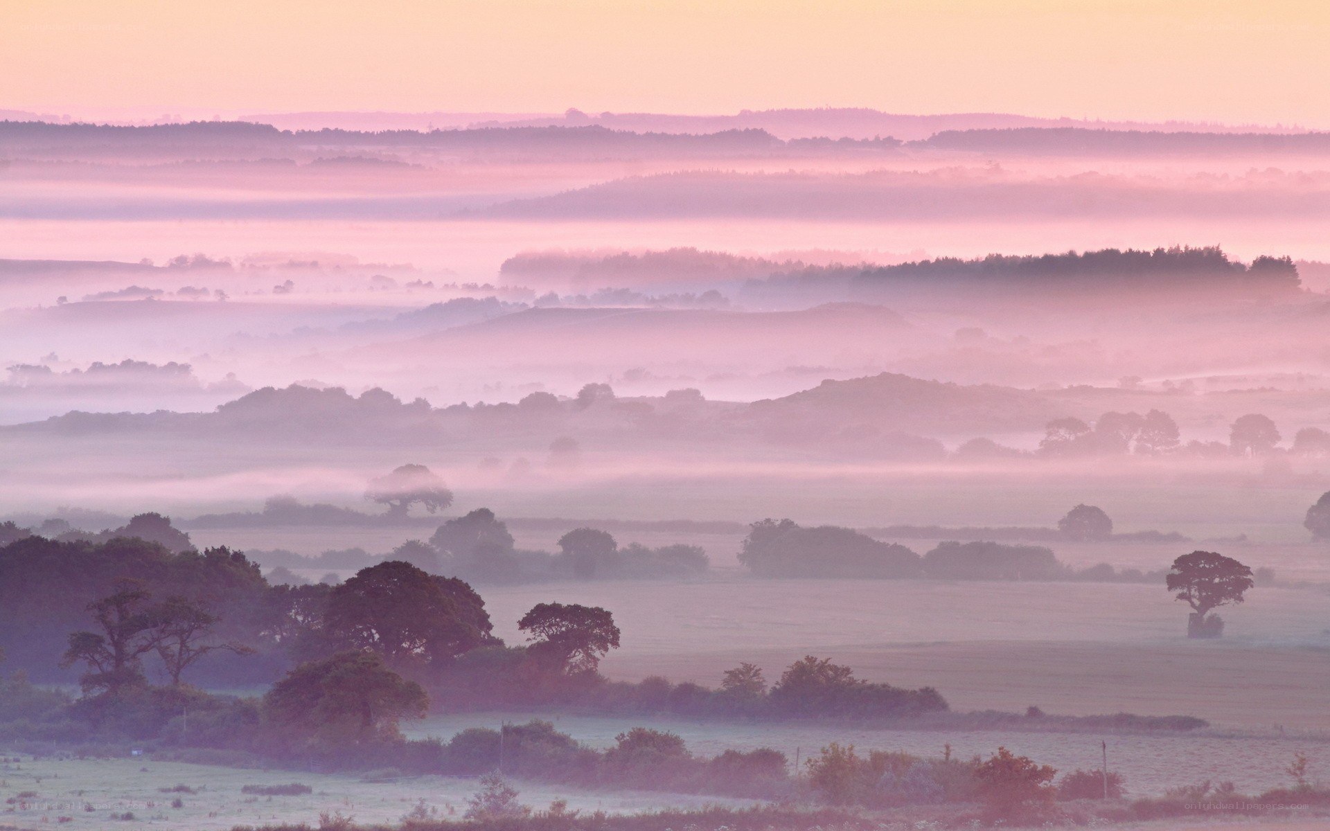 Misty landscape at dawn