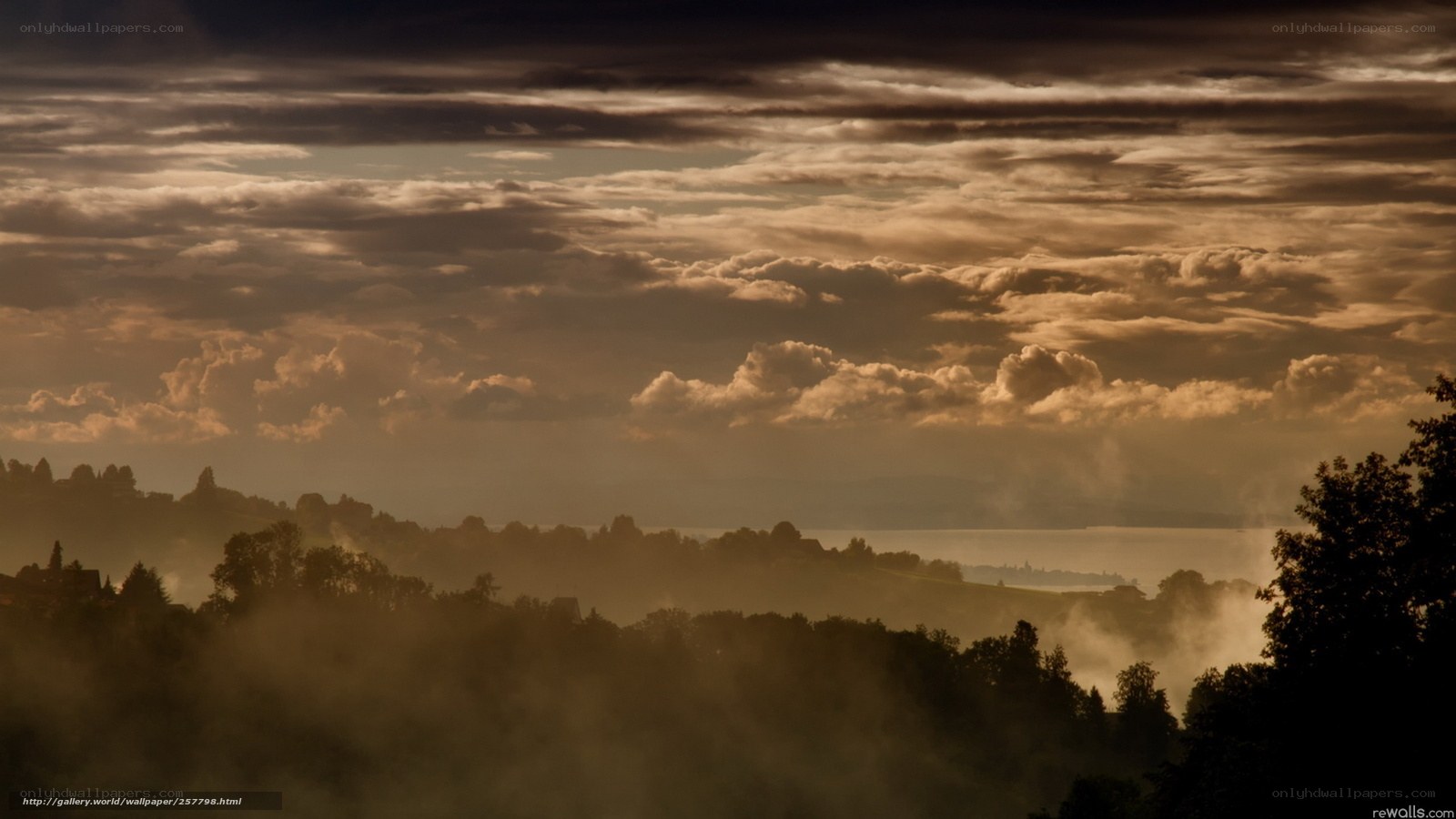 Misty landscape at dawn
