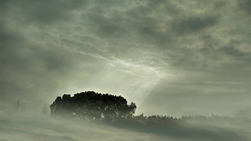 Misty landscape with sunbeams