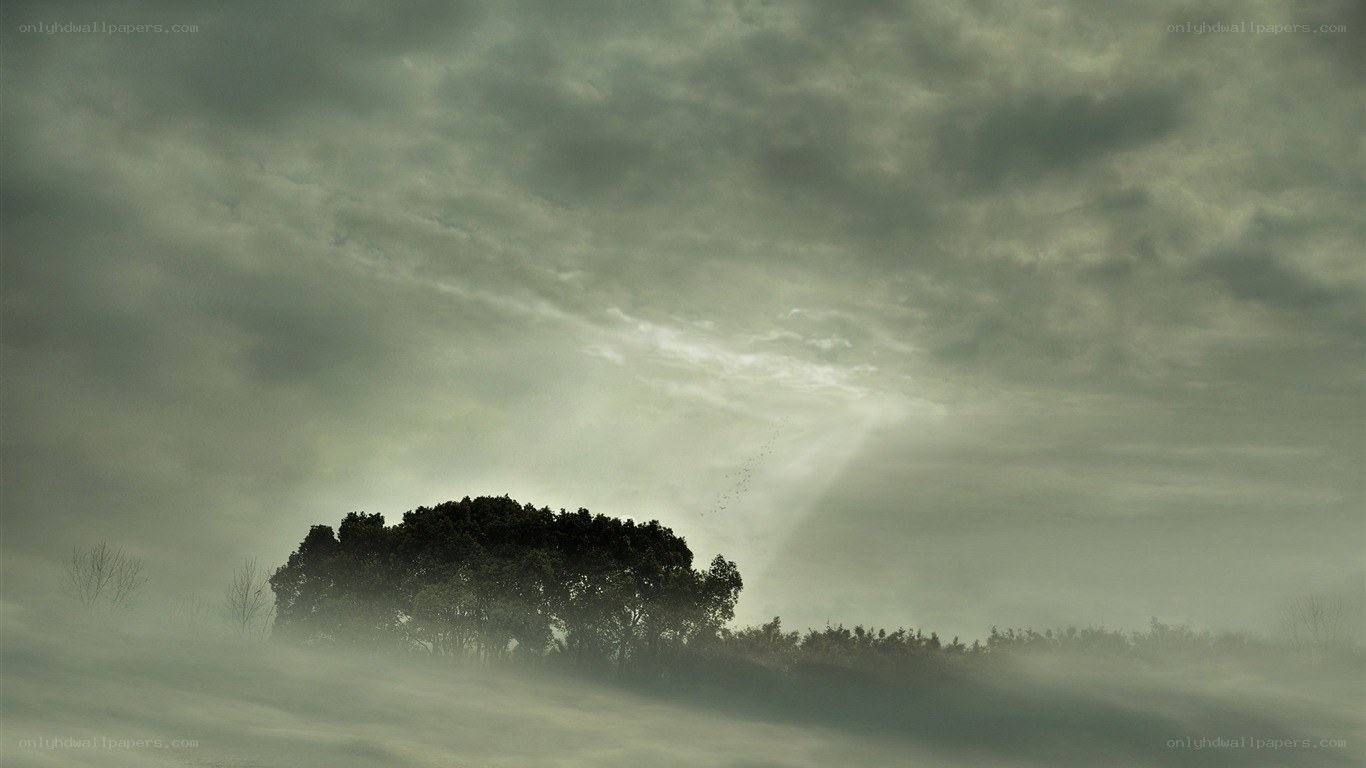 Misty landscape with sunbeams