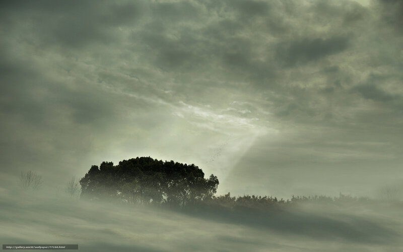 Misty landscape with sunbeams