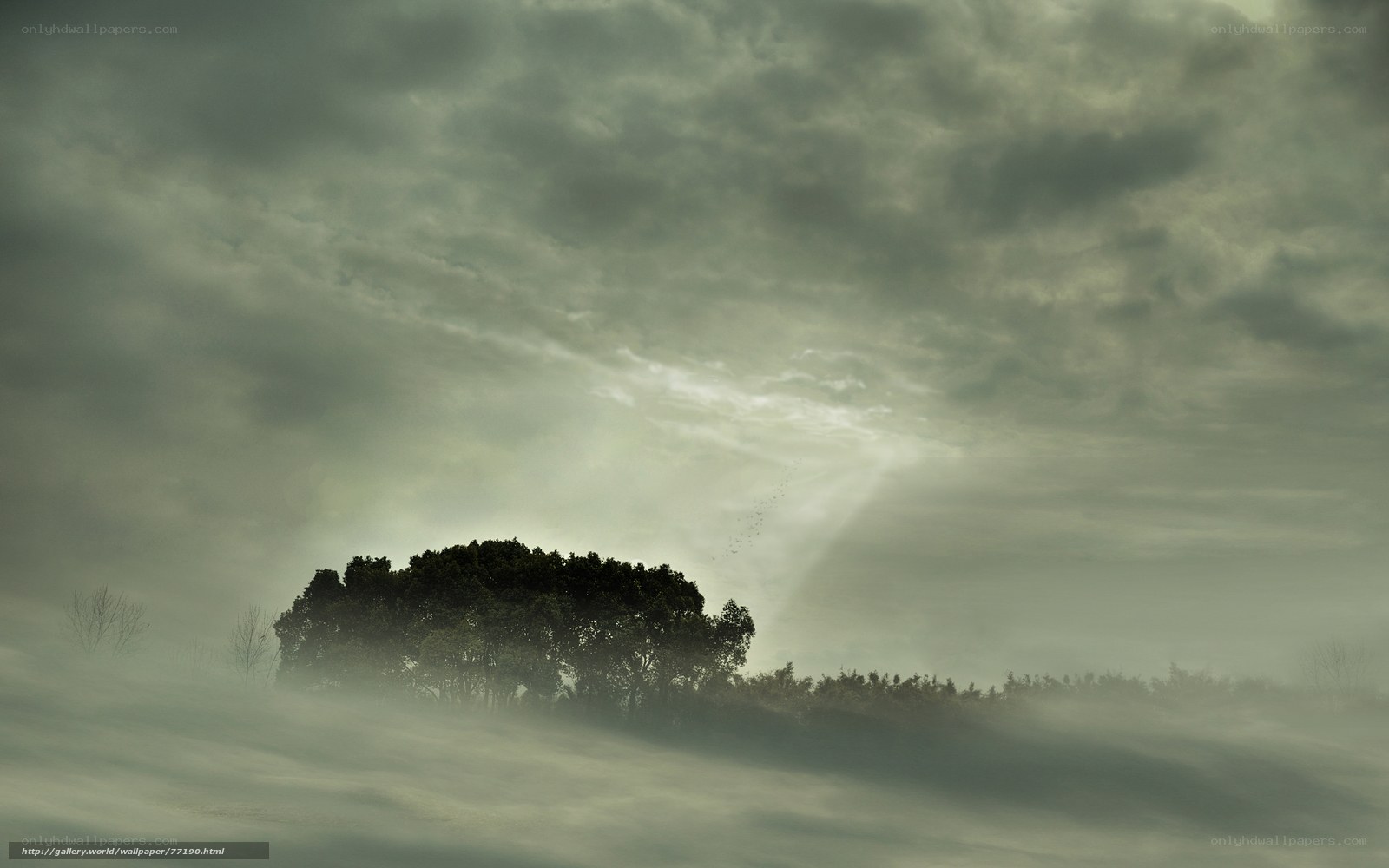Misty landscape with sunbeams