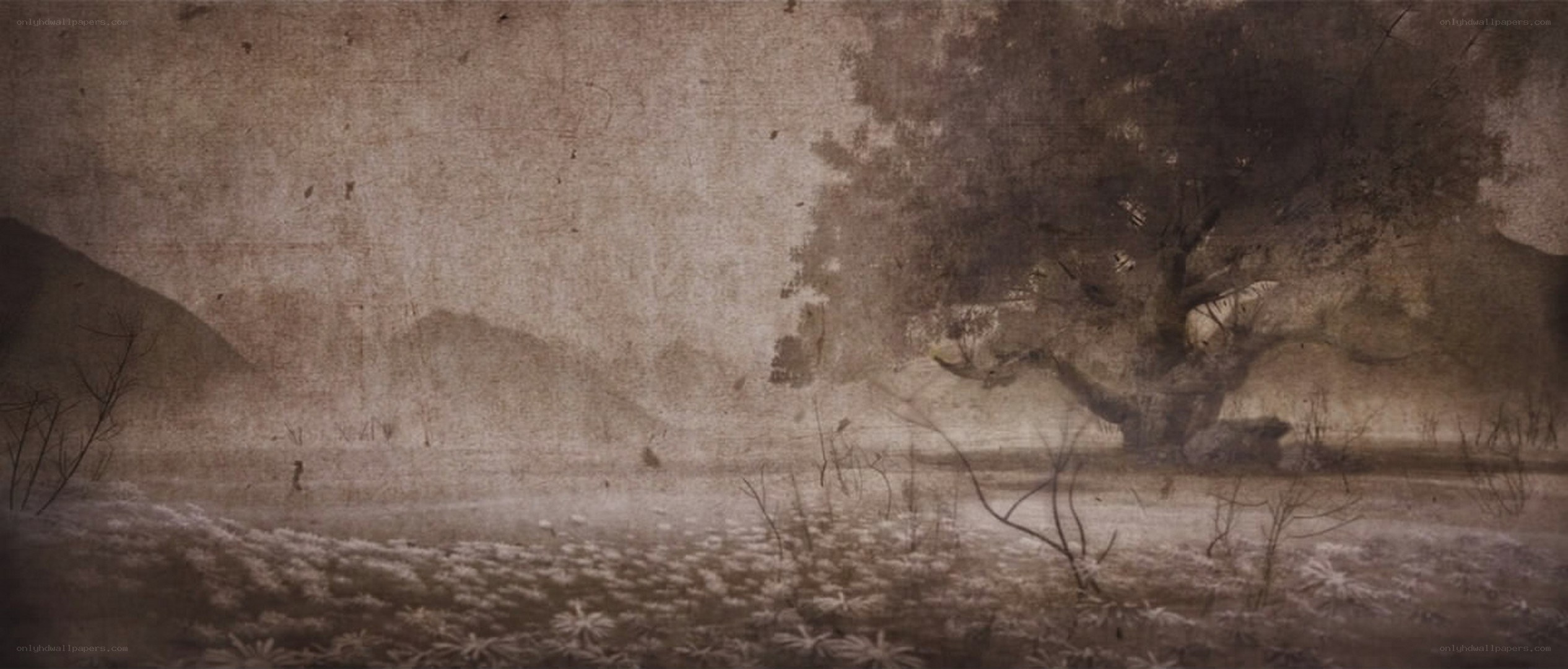 misty landscape with tree