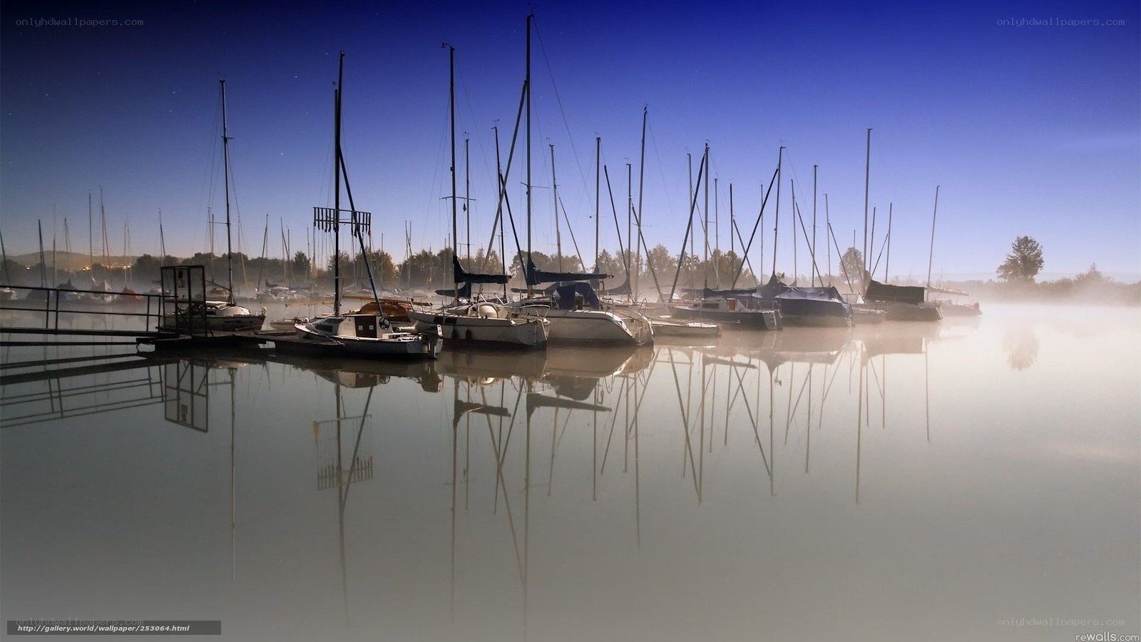 Misty marina at dawn