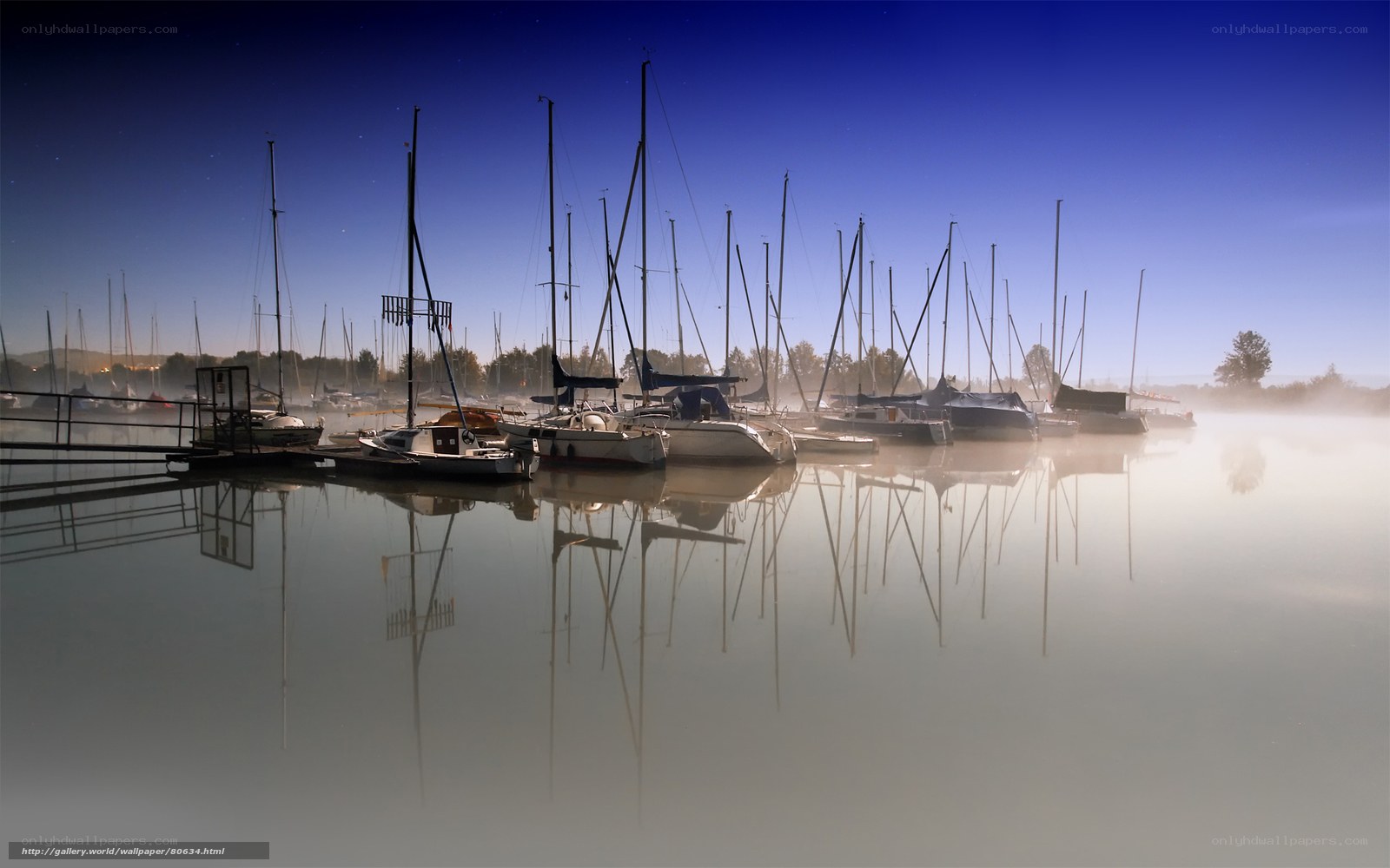 Misty marina at dawn
