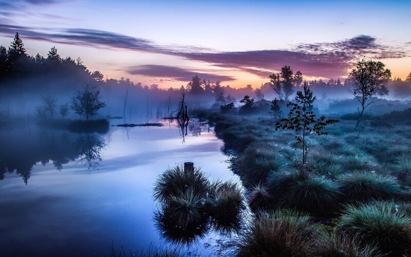 Misty Marsh at Dawn — Blue