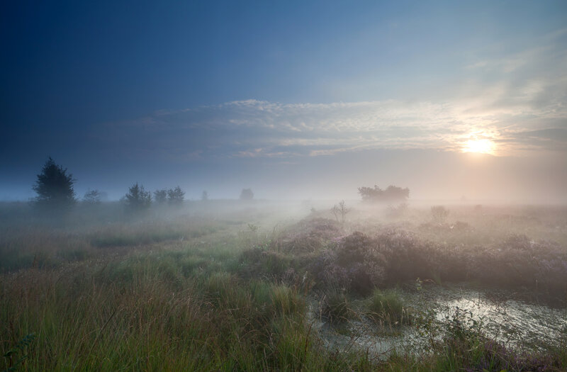 Misty Marsh at Sunrise — Blue