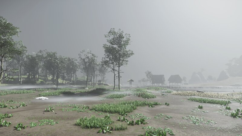 Misty Marsh Landscape