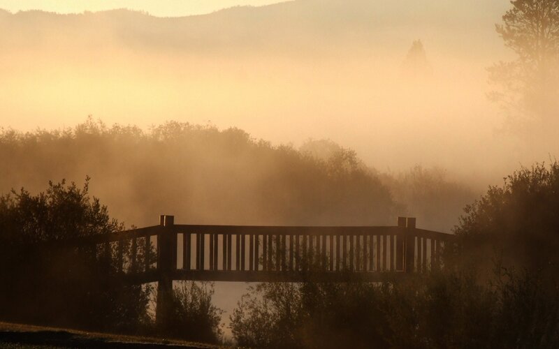 Misty morning bridge