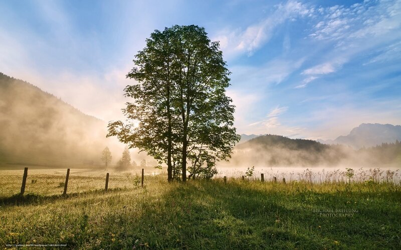 Misty morning by the lake