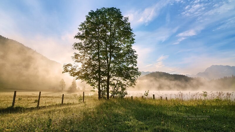 Misty morning by the lake