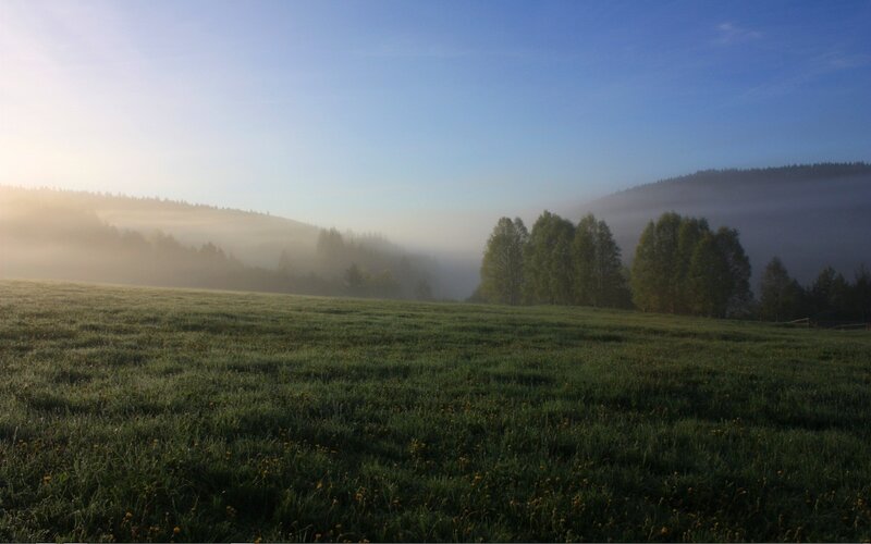 Misty morning in a green valley