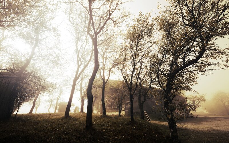 Misty morning in a rural village