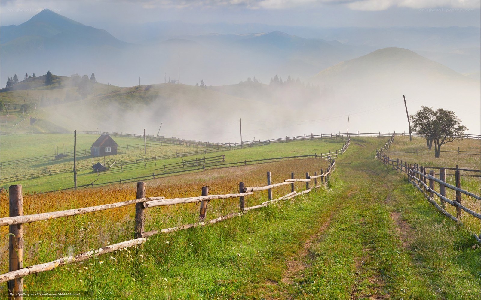 Misty morning in the countryside