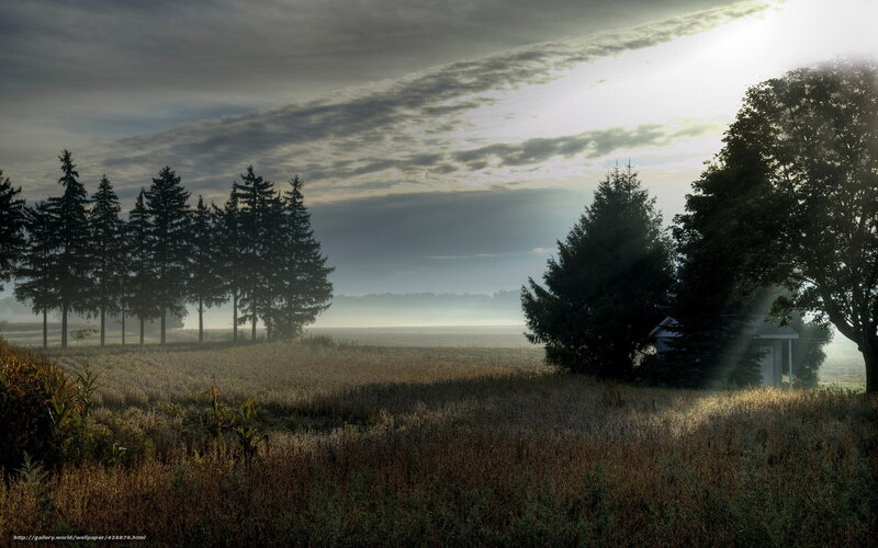 Misty Morning in the Countryside