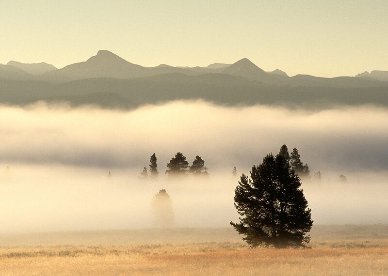 Misty morning in the mountains