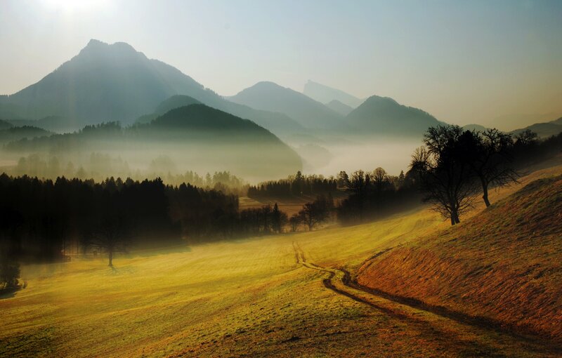 Misty morning in the mountains