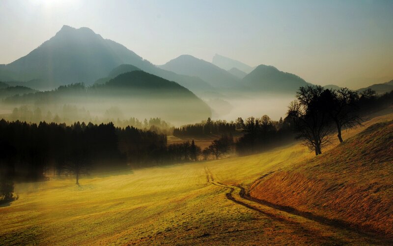 Misty morning in the mountains