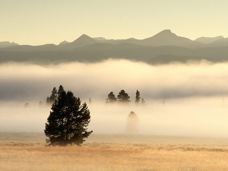 Misty morning in the mountains