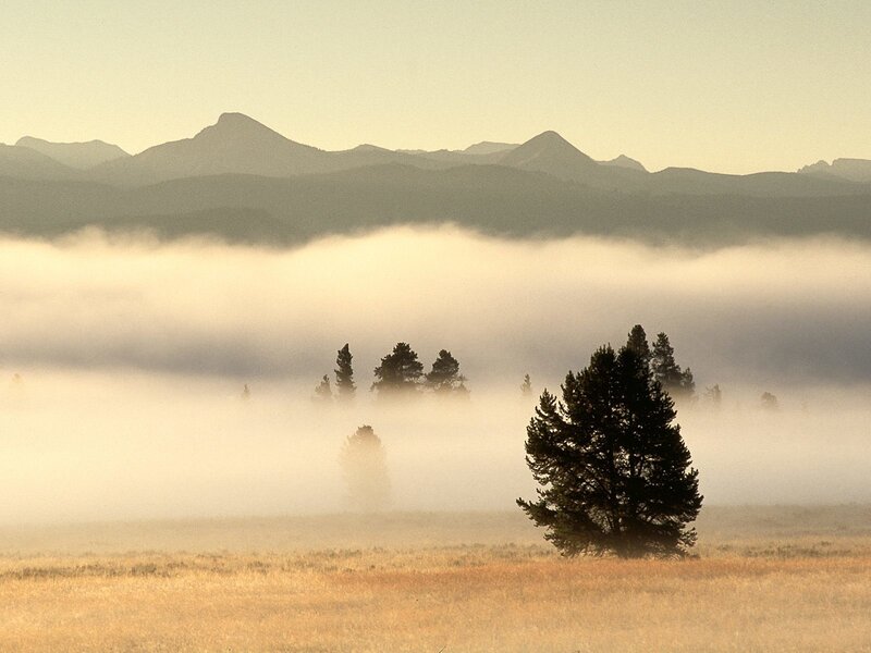 Misty morning in the mountains