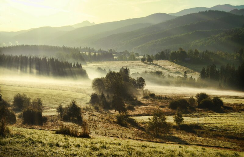 Misty morning in the valley