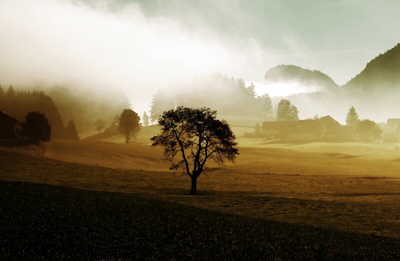Misty morning in the valley