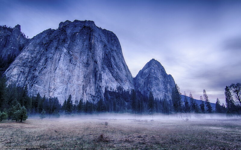 Misty morning in Yosemite