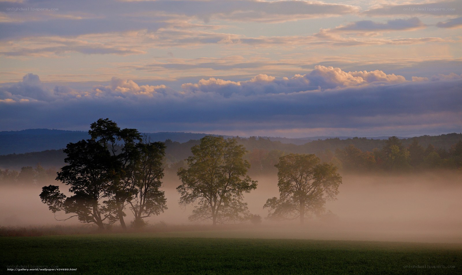 Misty Morning Landscape