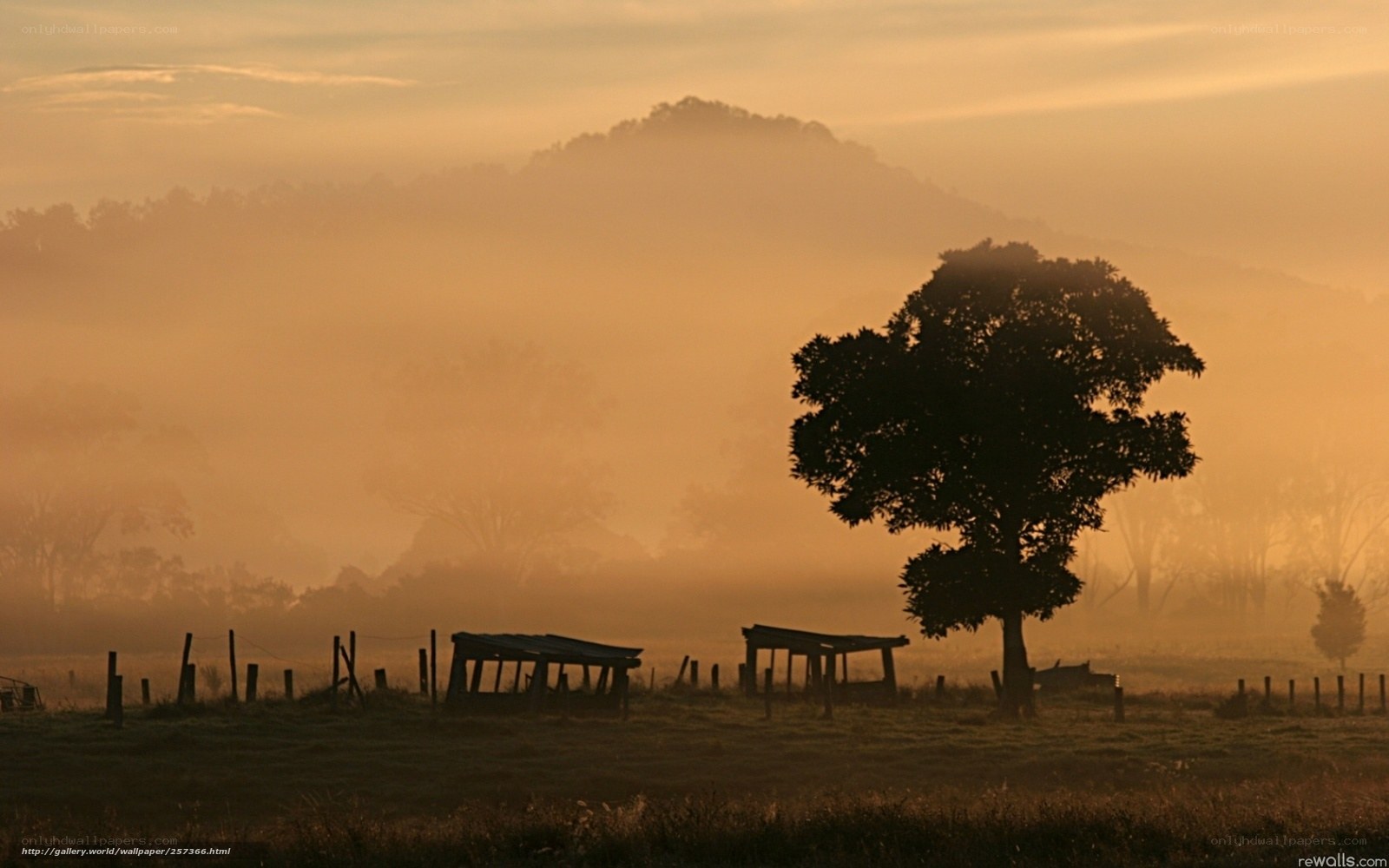 Misty morning landscape