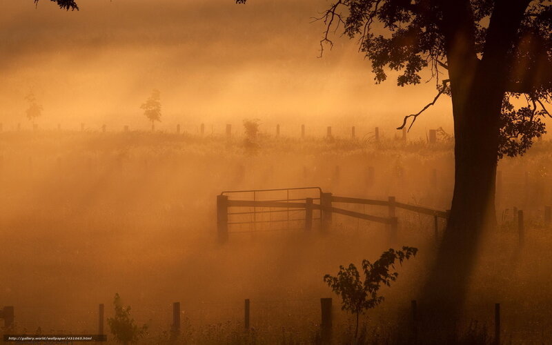 Misty Morning on a Farm